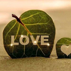 Meet your Posher, Deb